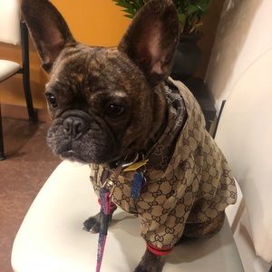 Meet your Posher, Larissa